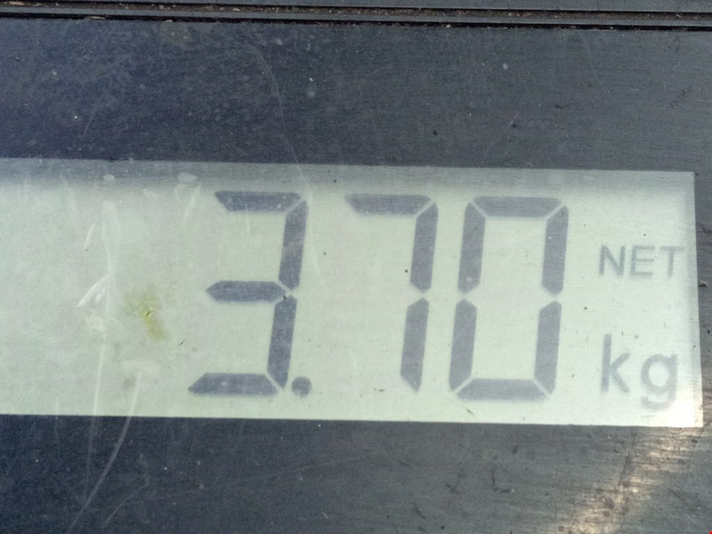 Стартер SEAT Ibiza 1993-2002