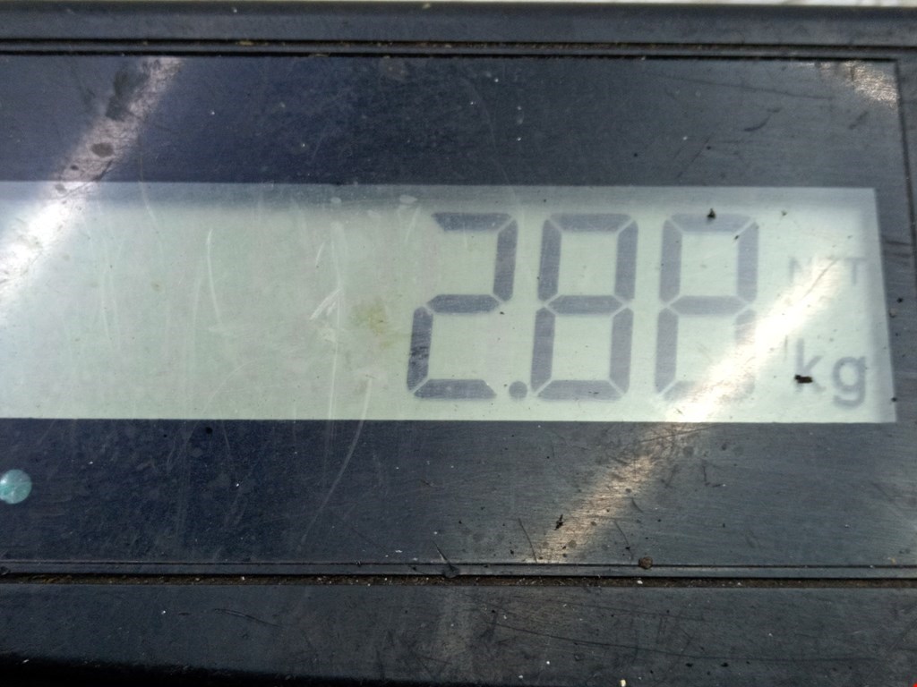 Стартер MAZDA Mazda 6 GG 2000-2007