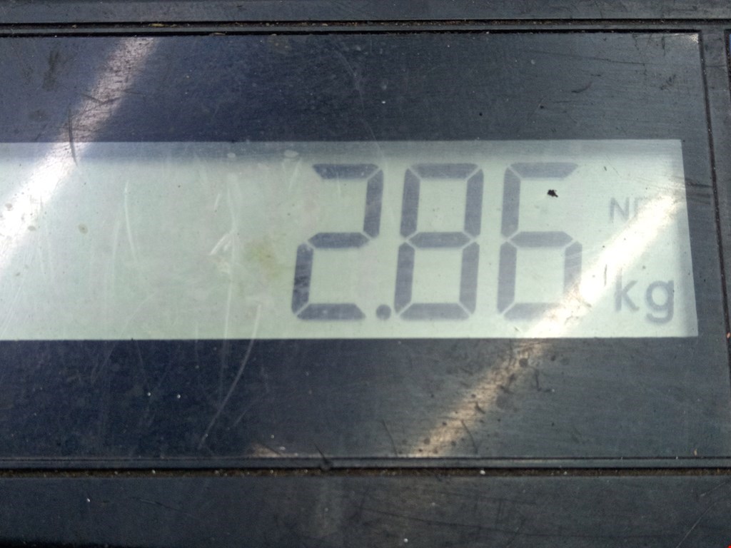 Стартер SEAT Ibiza 2002-2008