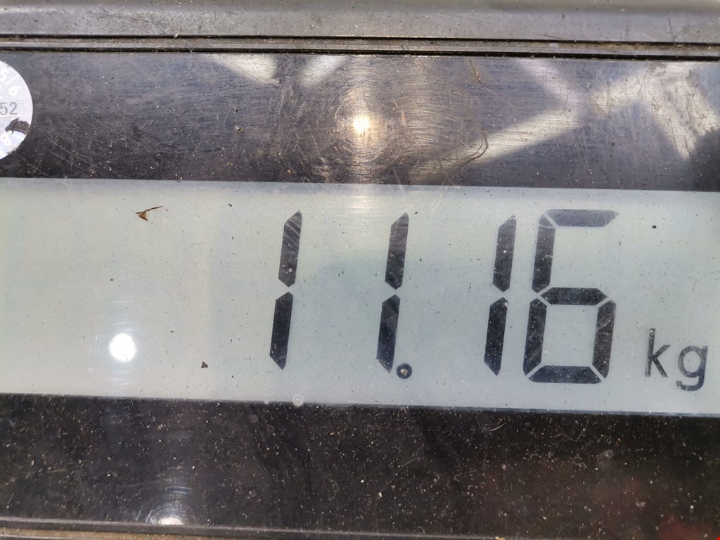 Амортизатор передний правый OPEL Tigra B 2004-2009