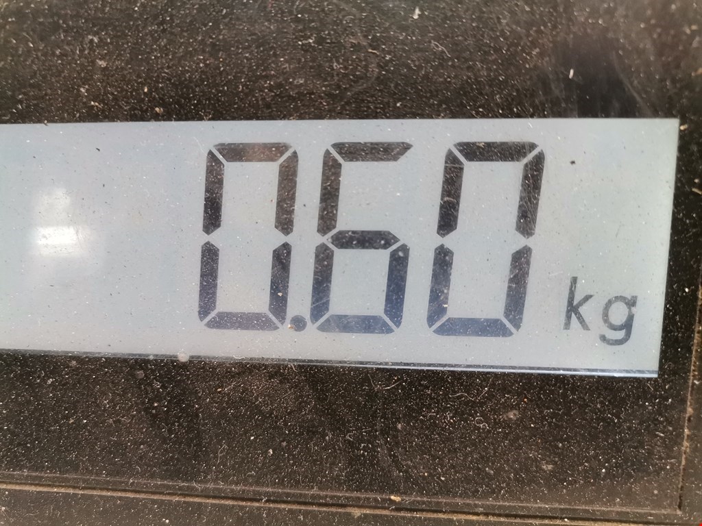 Юбка (губа) бампера задняя (заднего) AUDI A6 C5 1997-2004