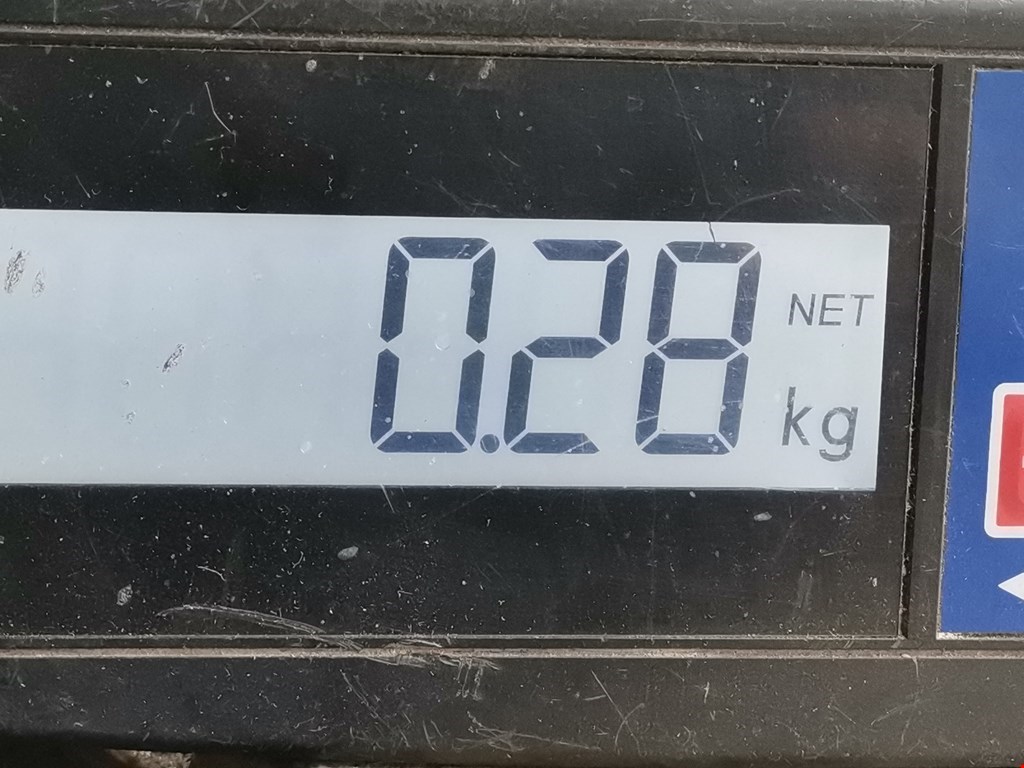 Сигнал звуковой (гудок клаксон) SSANG YONG Rodius 2004-2013