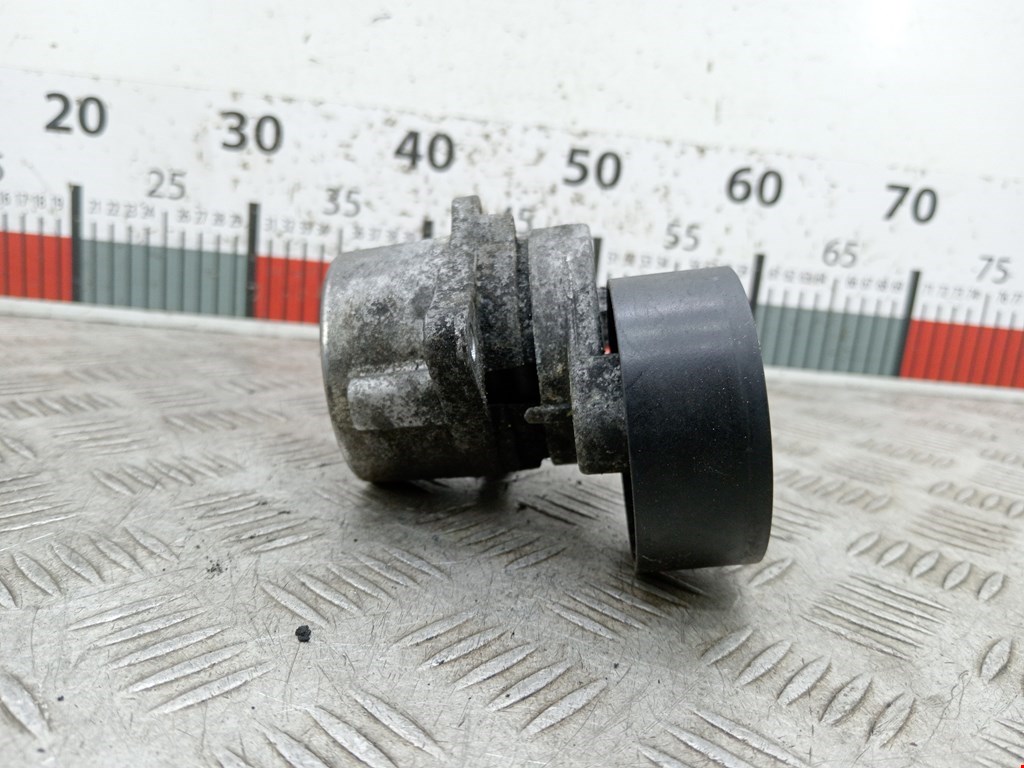 Натяжитель ремня генератора (приводного поликлинового ремня Mercedes S-Class (W220) (1998-2005)