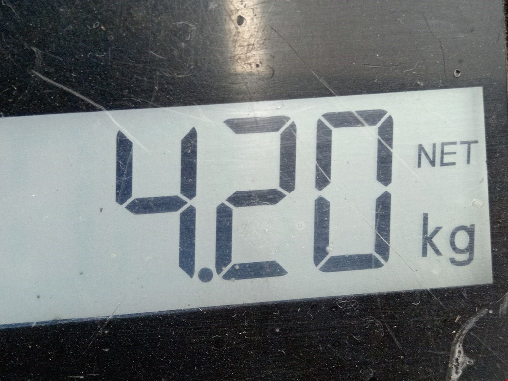 Коллектор выпускной MERCEDES-BENZ S-Class IV W220 1998-2005