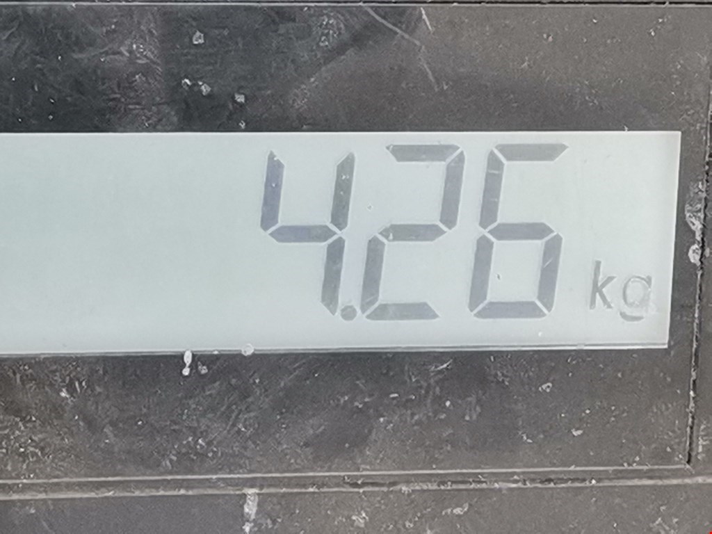 Усилитель заднего бампера (задний) BMW 1er E81\E87 2004-2011