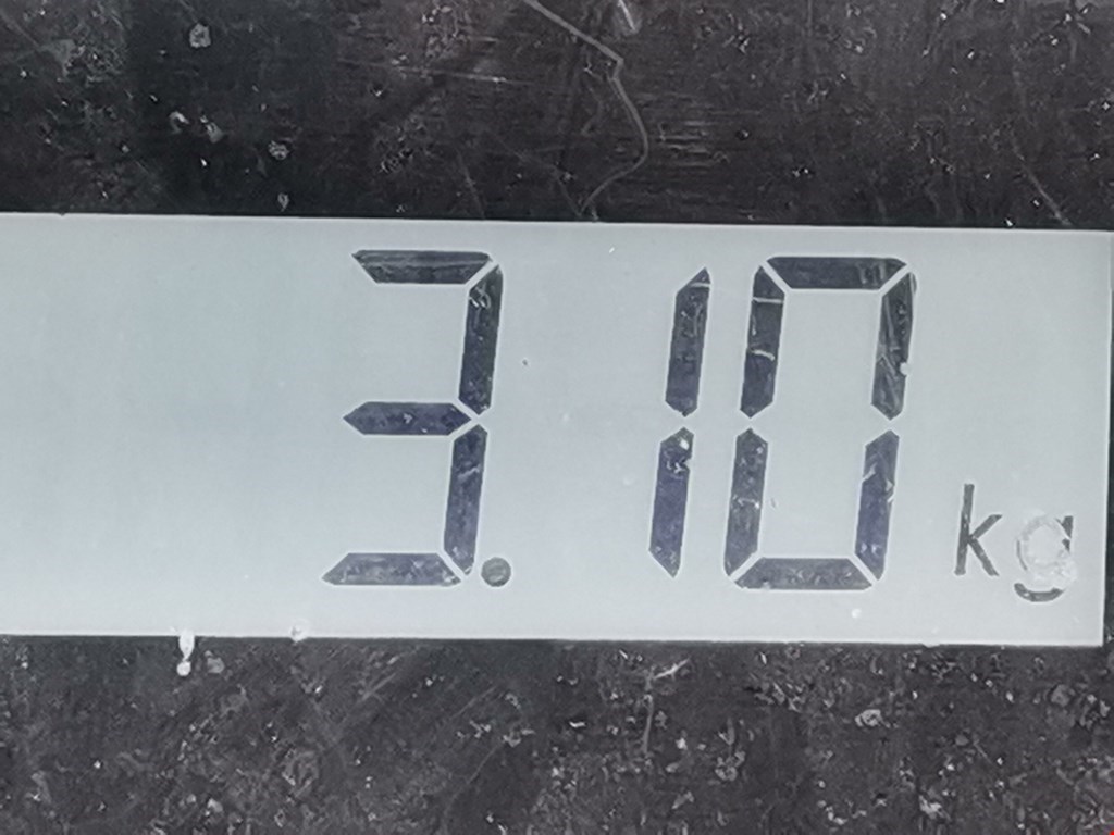 Обшивка двери передняя левая FORD Mondeo V 2015-н.в.