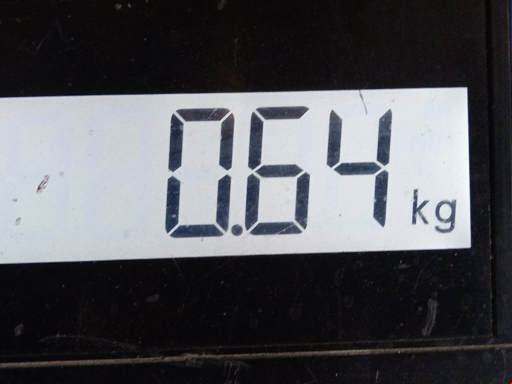 Юбка (губа) бампера задняя (заднего) MINI Coupe R58 2011-2015