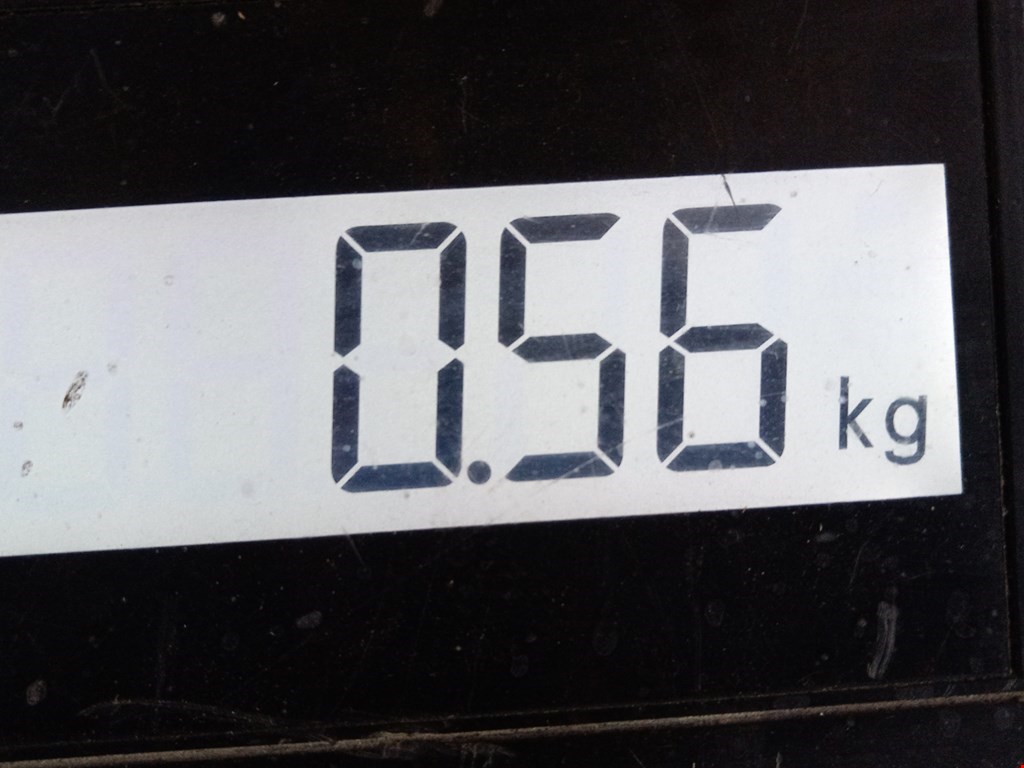 Юбка (губа) бампера задняя (заднего) BMW 3er F30/F31/F80 2011-2019