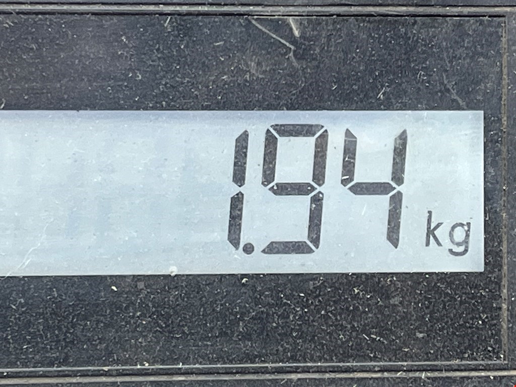 Юбка (губа) бампера задняя (заднего) BMW X6 F16/F86 2014-2020