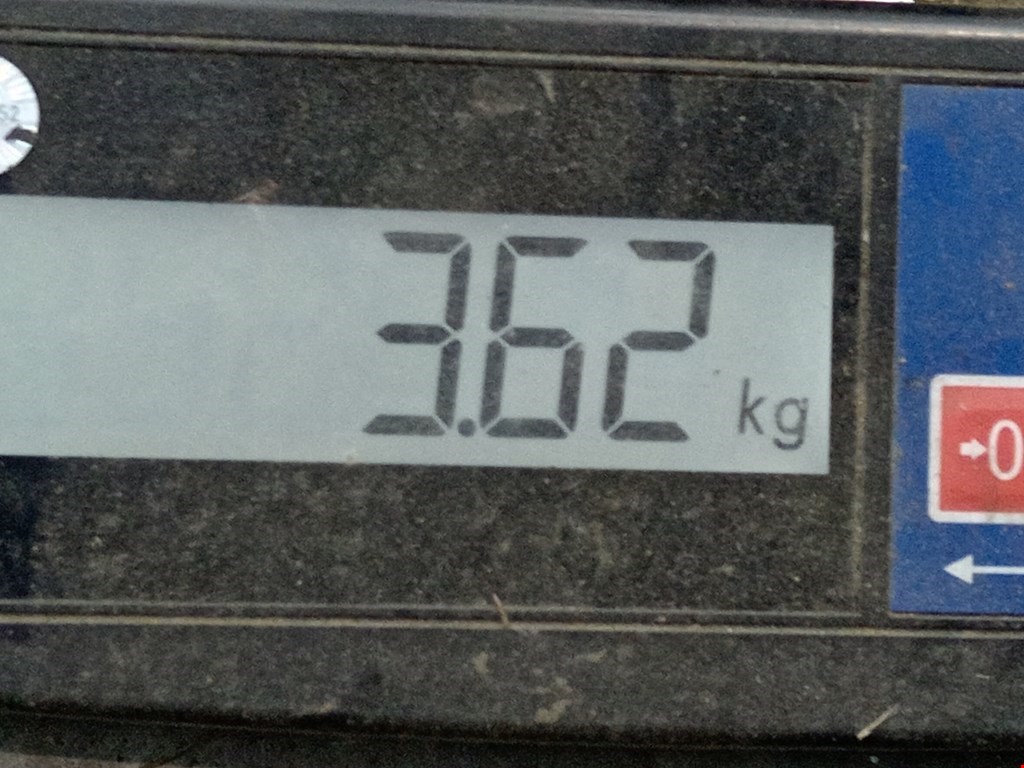 Бампер задний LAND ROVER Range Rover 2012-2022