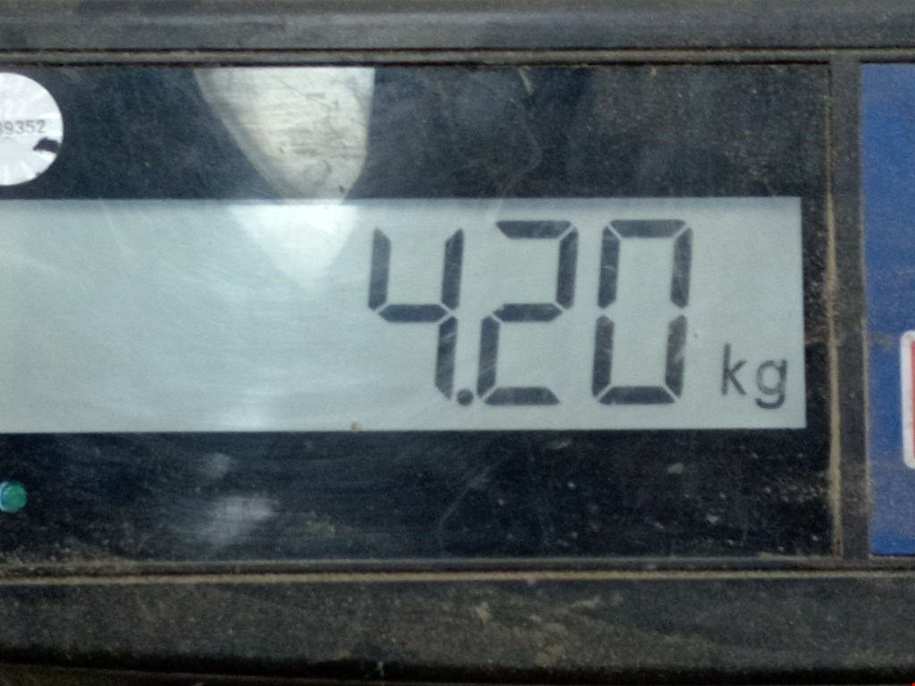 Бампер передний INFINITI QX56/QX80 2004-2010