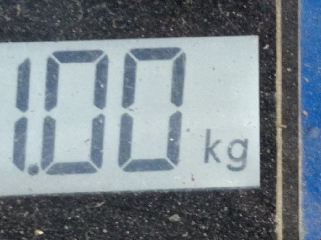 Юбка (губа) бампера задняя (заднего) SKODA Rapid 2012-2020