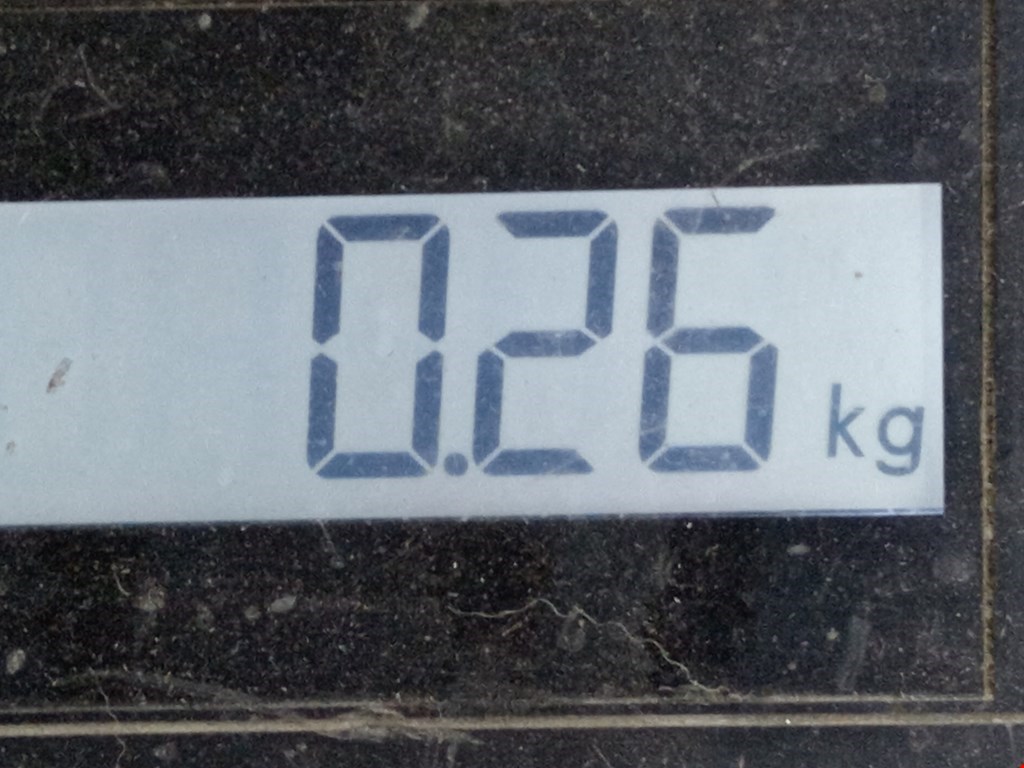 Решетка в бампер SKODA Octavia A4 1U- 1997-2010