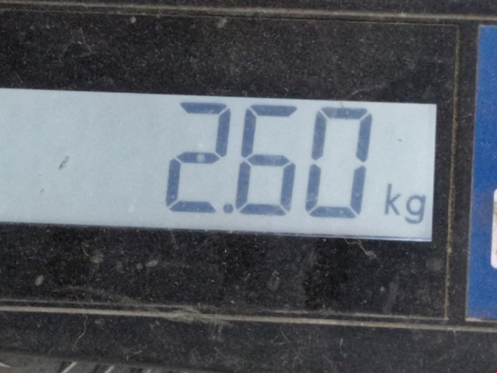 Решетка радиатора NISSAN Navara III D40 2005-2015