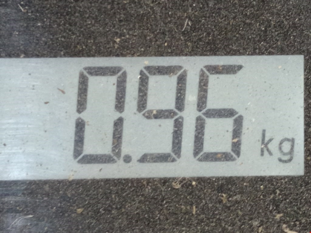 Решетка в бампер KIA Optima 2005-2010