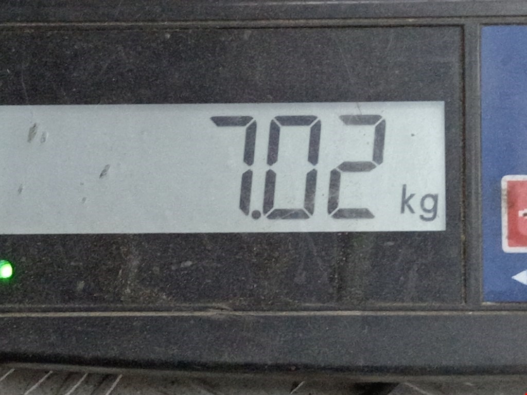 Бак топливный RENAULT Laguna 1993-2000