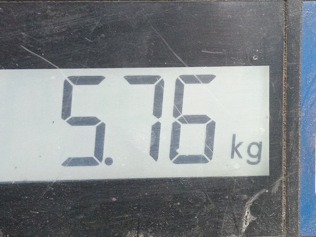 Усилитель заднего бампера (задний) VOLKSWAGEN Jetta V 2005-2011