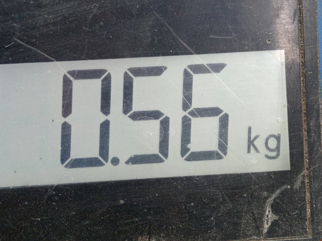 Кронштейн генератора PEUGEOT Expert II 2007-2016