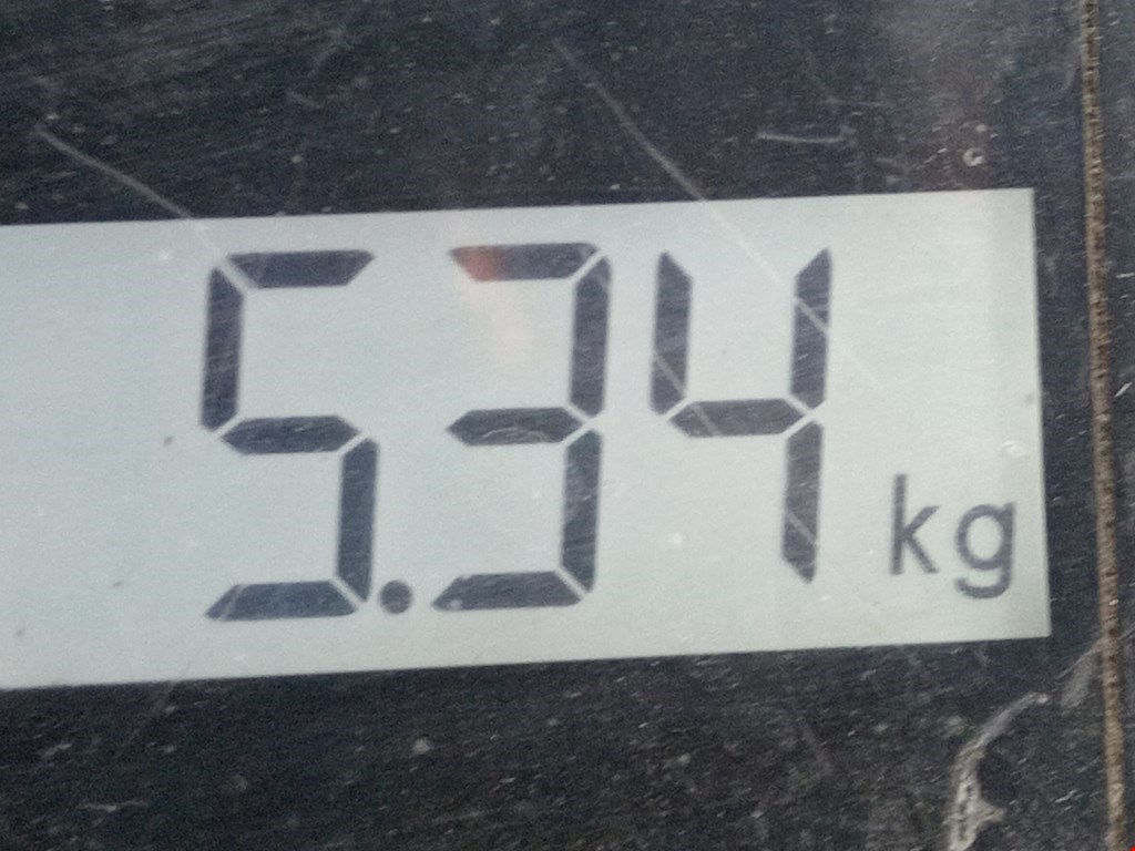 Амортизатор передний правый FORD Mondeo I 1993-1996