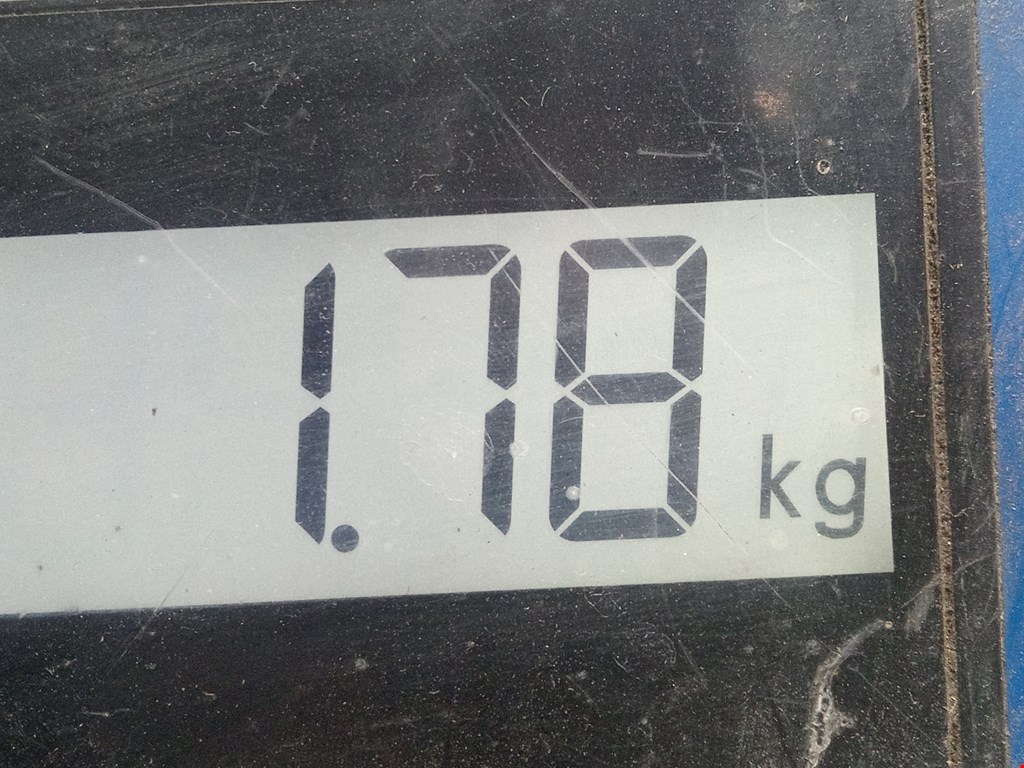 Амортизатор задний левый=правый FORD Escort 1990-1995