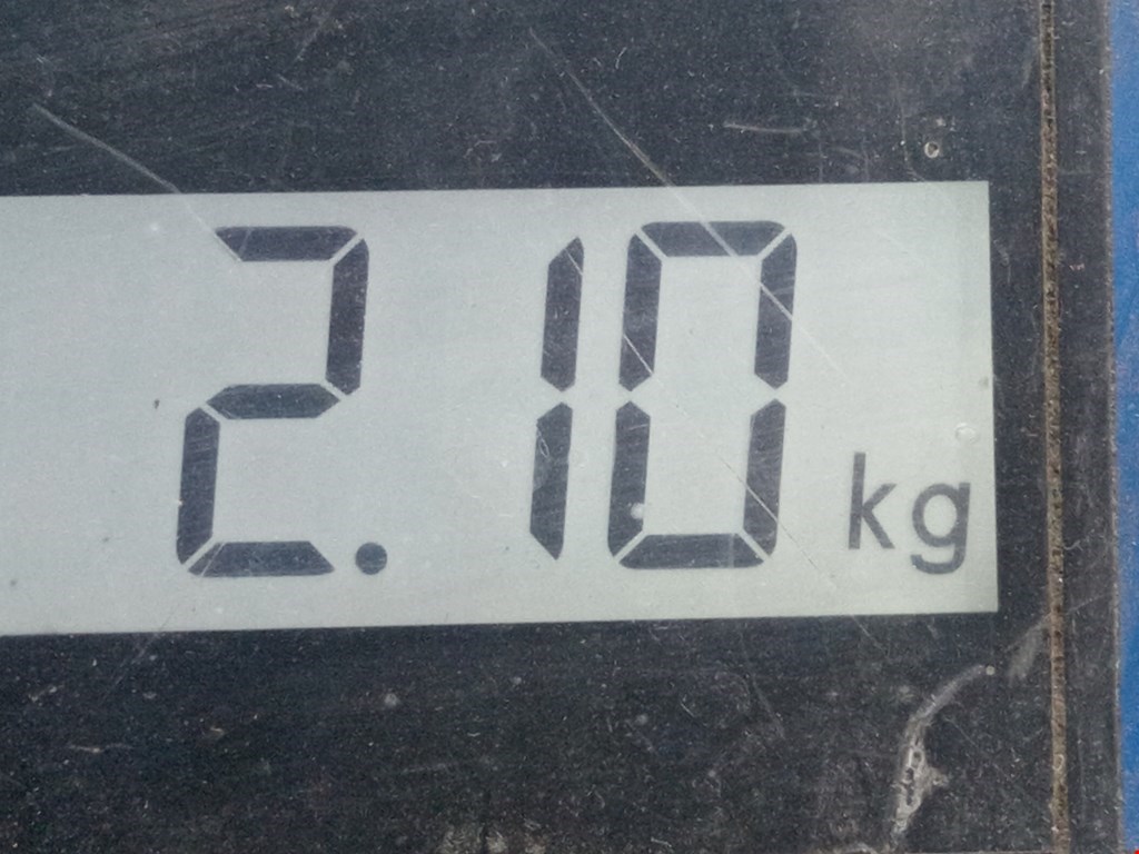 Амортизатор задний правый PEUGEOT 206 1998-2012