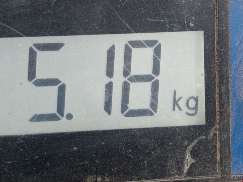 Амортизатор передний правый FORD Escort 1995-2000