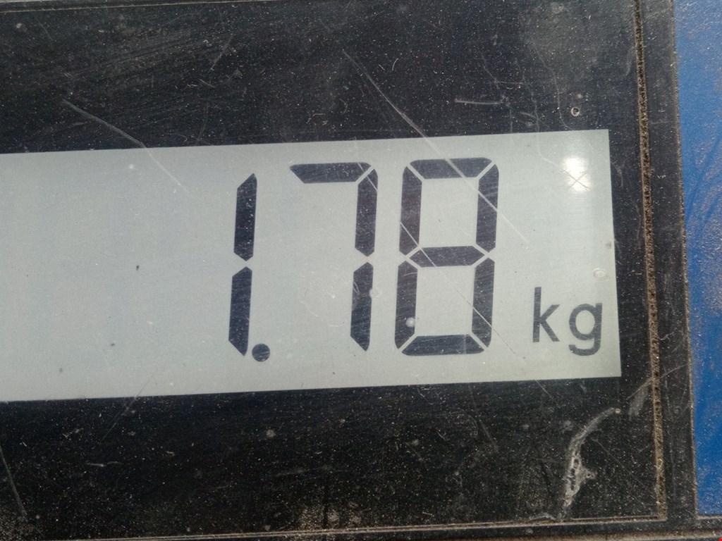 Амортизатор задний левый=правый FORD Escort 1990-1995