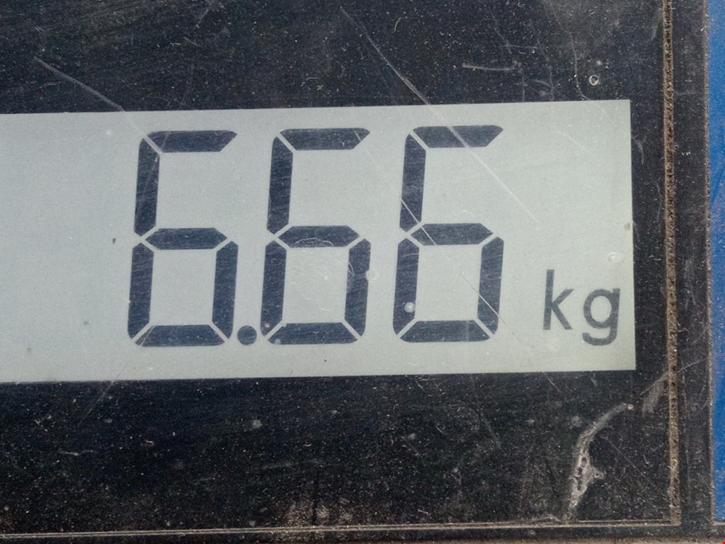 Барабан тормозной задний CITROEN Xsara 1997-2000