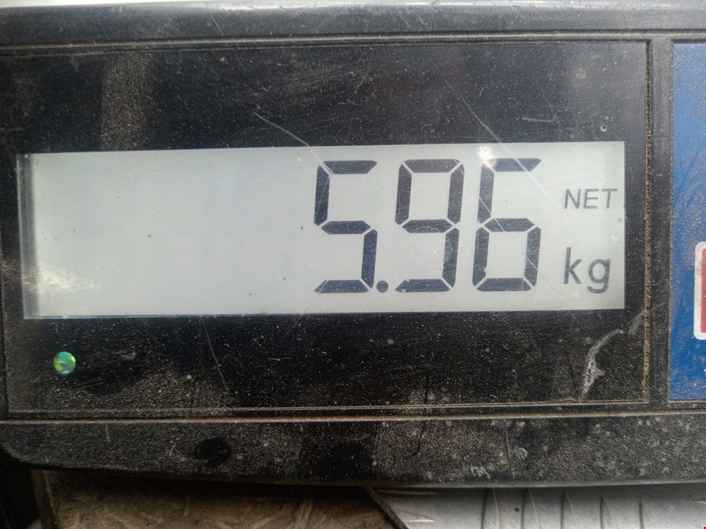 Рычаг задний правый PEUGEOT 605 1989-1999