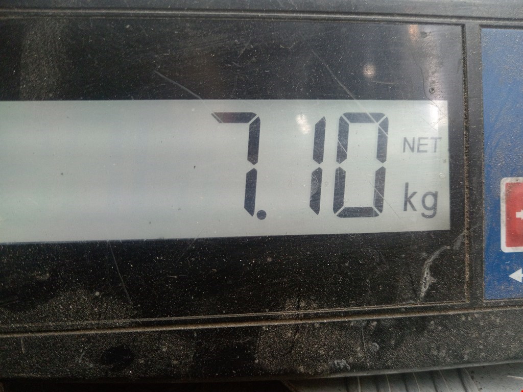 Амортизатор передний левый FORD Escort 1995-2000