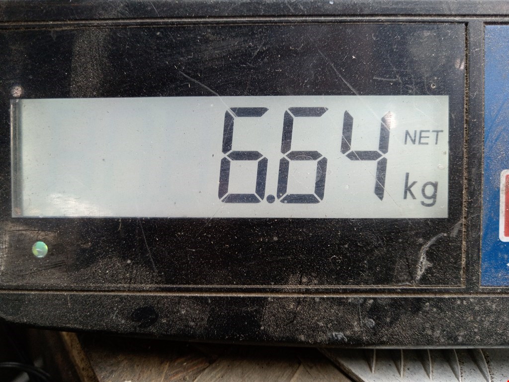 Амортизатор передний правый ROVER 400 II HH-R 1995-2000