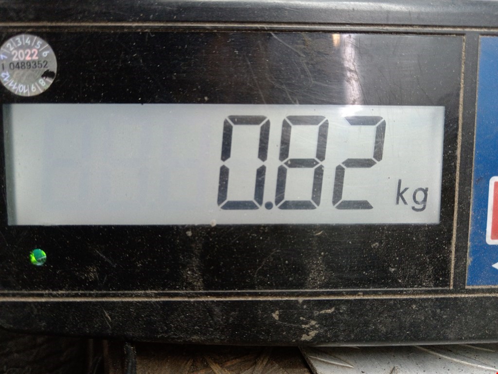 Зеркало левое FORD Escort 1986-1990