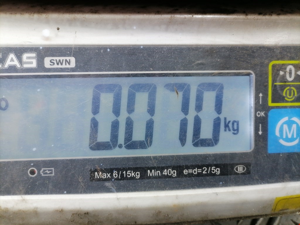 Датчик температуры (охлаждающей жидкости) VOLKSWAGEN Passat B5 1997-2005