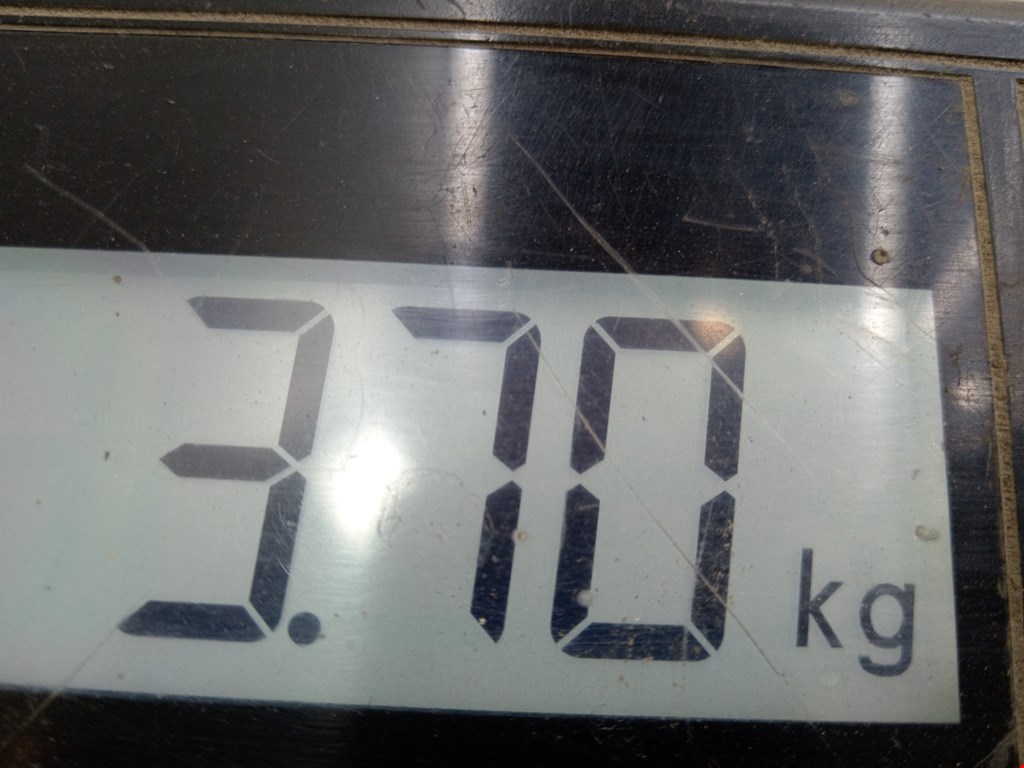 Бампер задний LAND ROVER Discovery IV 2009-2016