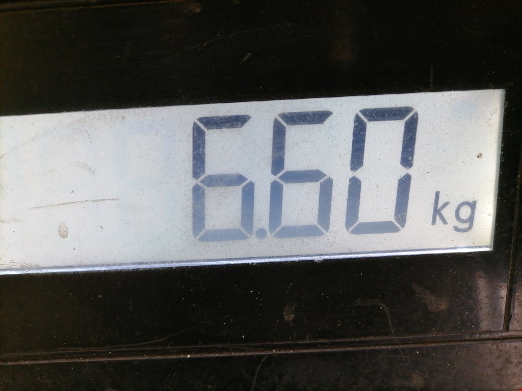 Ступица задняя левая FORD Transit 2006-2014