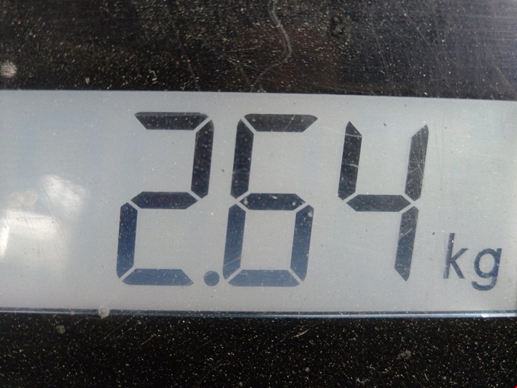 Шестерня коленвала (шкив) MAZDA Mazda 5 CR 2005-2010