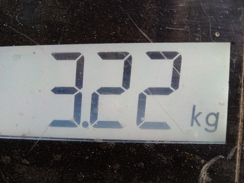 Шторка багажника (полка) SKODA Octavia A5 1Z- 2004-2013