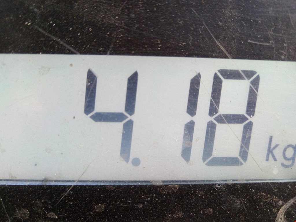 Шторка багажника (полка) RENAULT Vel Satis 2002-2009