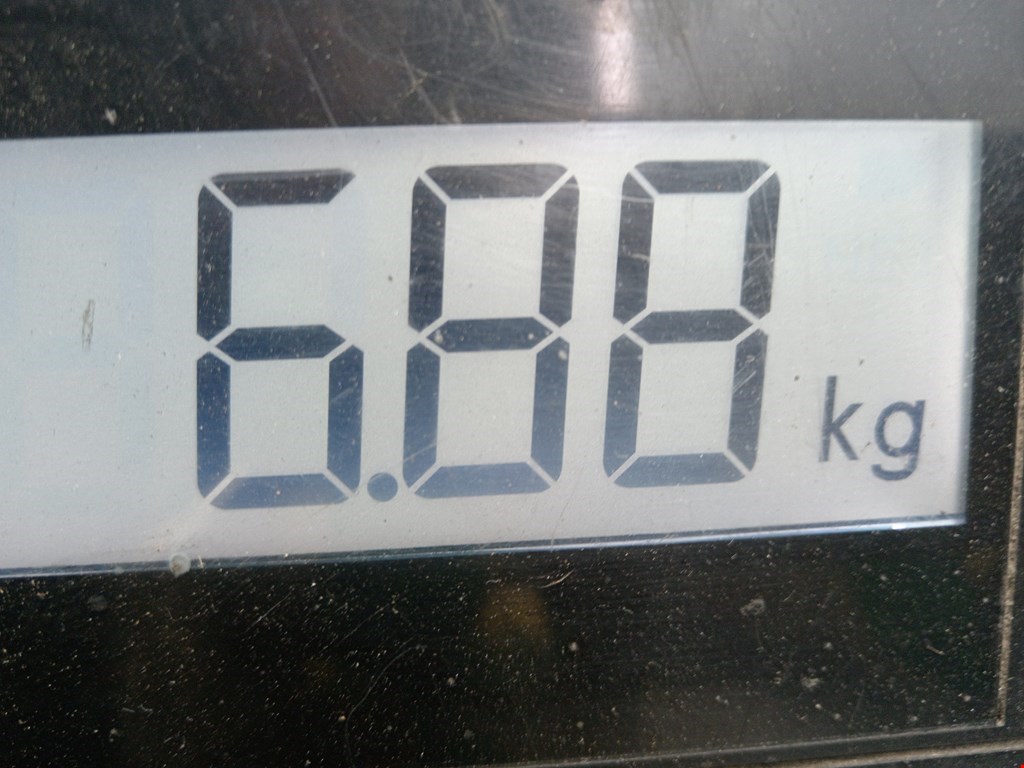 Амортизатор передний левый MAZDA Mazda 6 GG 2000-2007