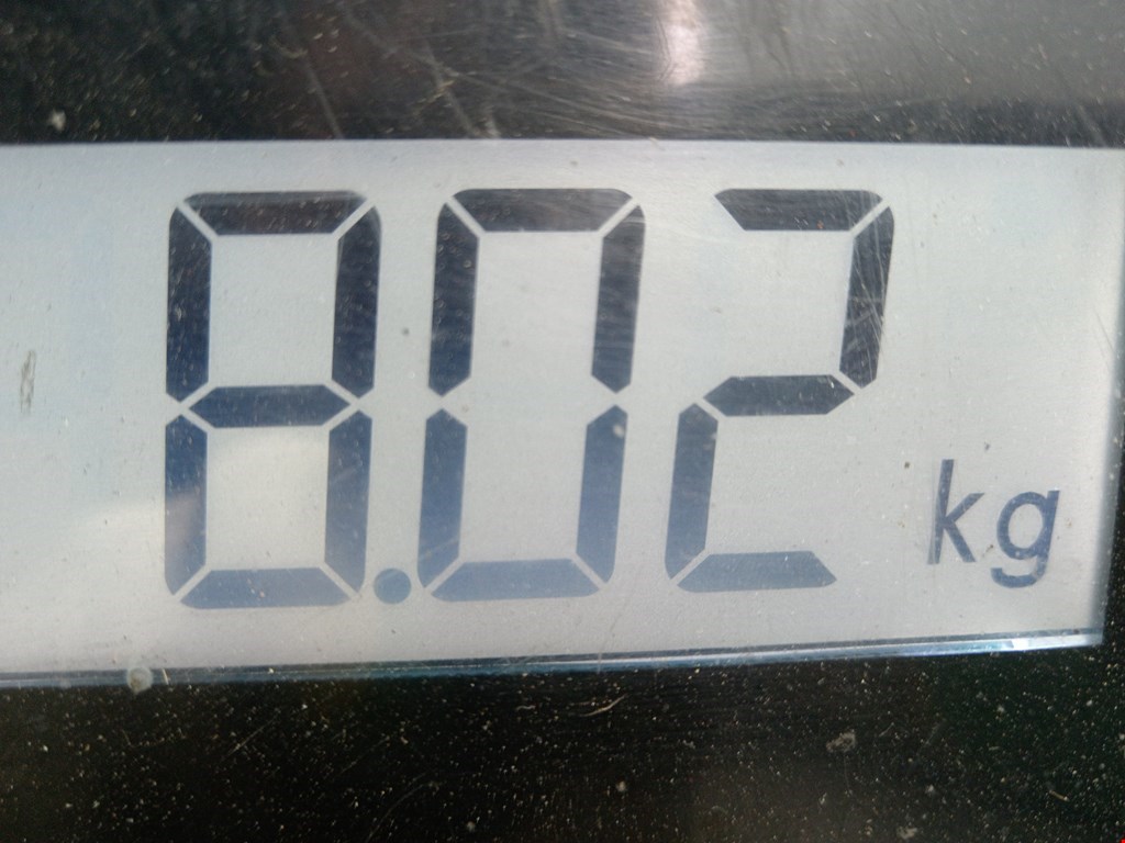 Амортизатор передний левый RENAULT Megane I 1996-2002