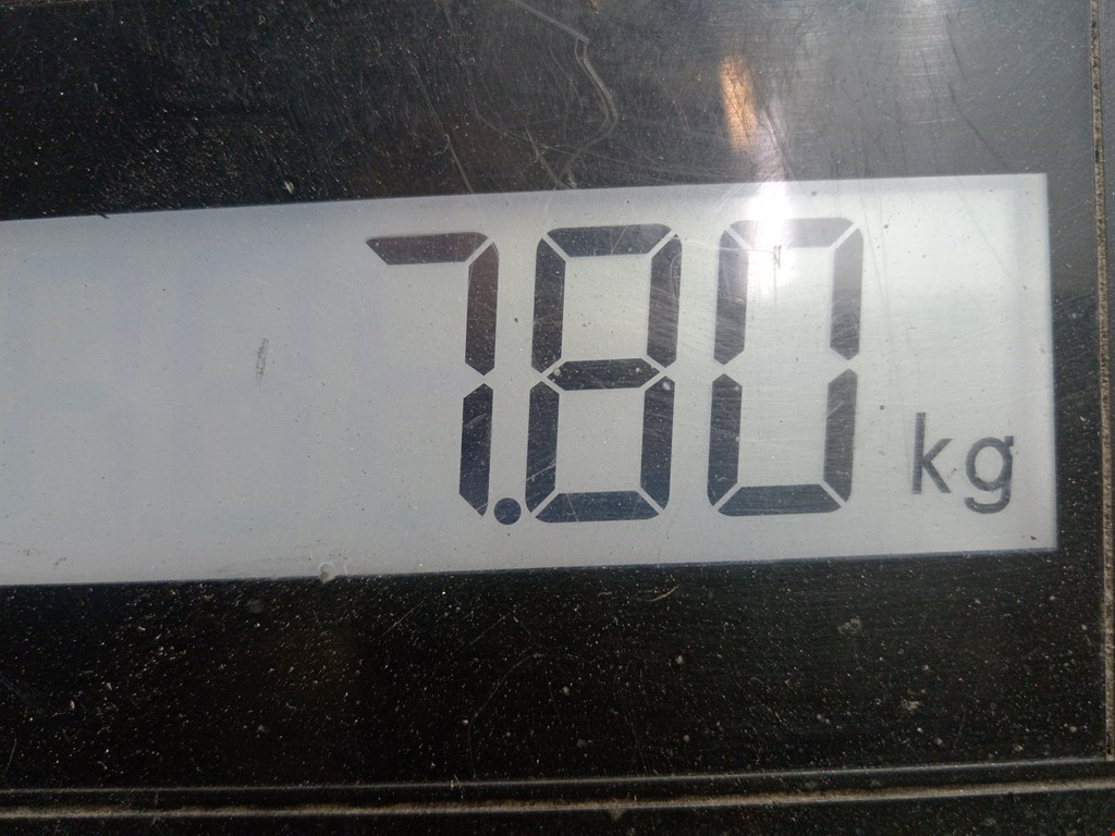 Амортизатор передний правый SEAT Alhambra 1996-2010