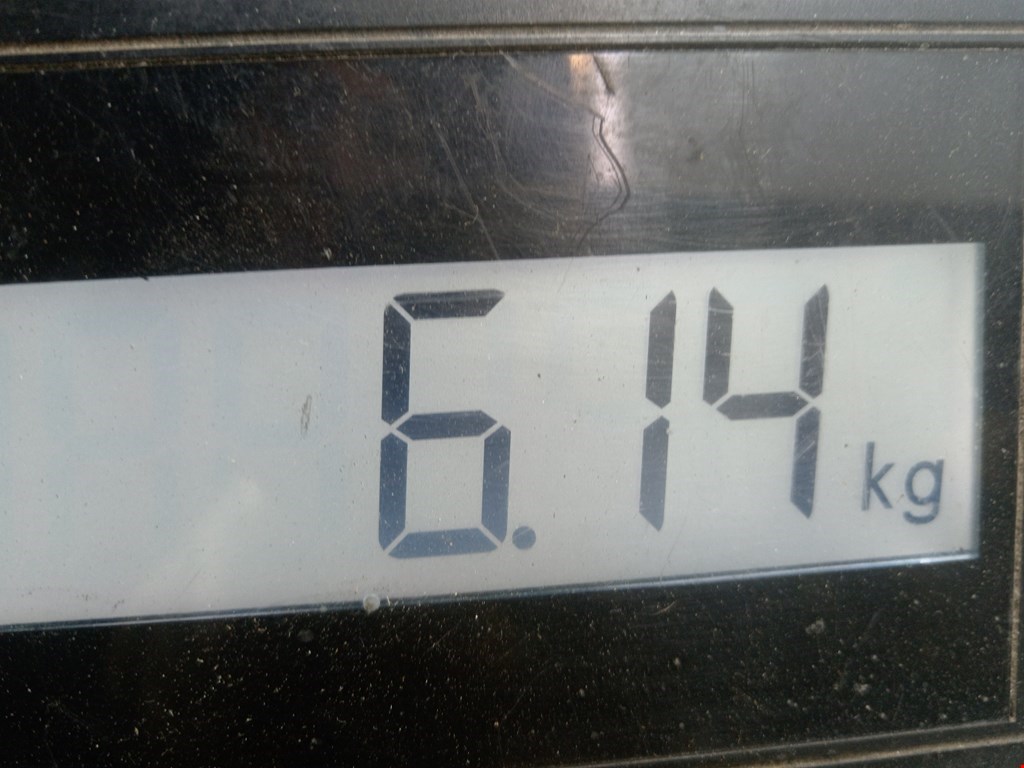 Амортизатор передний левый CITROEN C 2 2003-2008