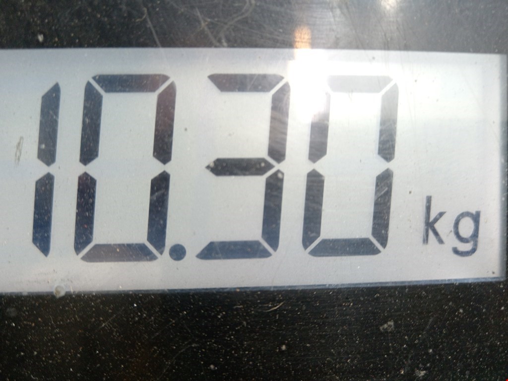 Амортизатор передний левый RENAULT Vel Satis 2002-2009