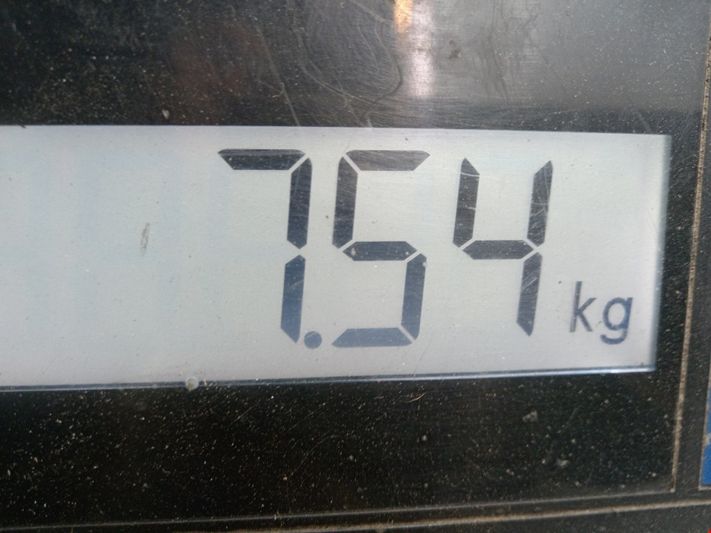 Амортизатор передний левый MAZDA Mazda 3 BK 2003-2009