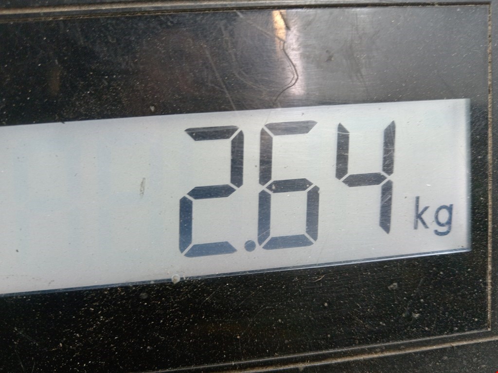 Пружина задняя левая/правая FORD Fiesta 2001-2008