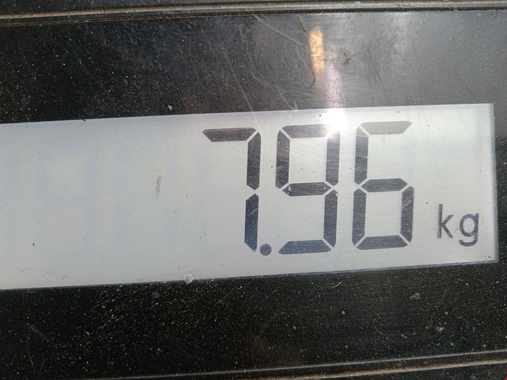 Амортизатор передний правый RENAULT Megane I 1996-2002