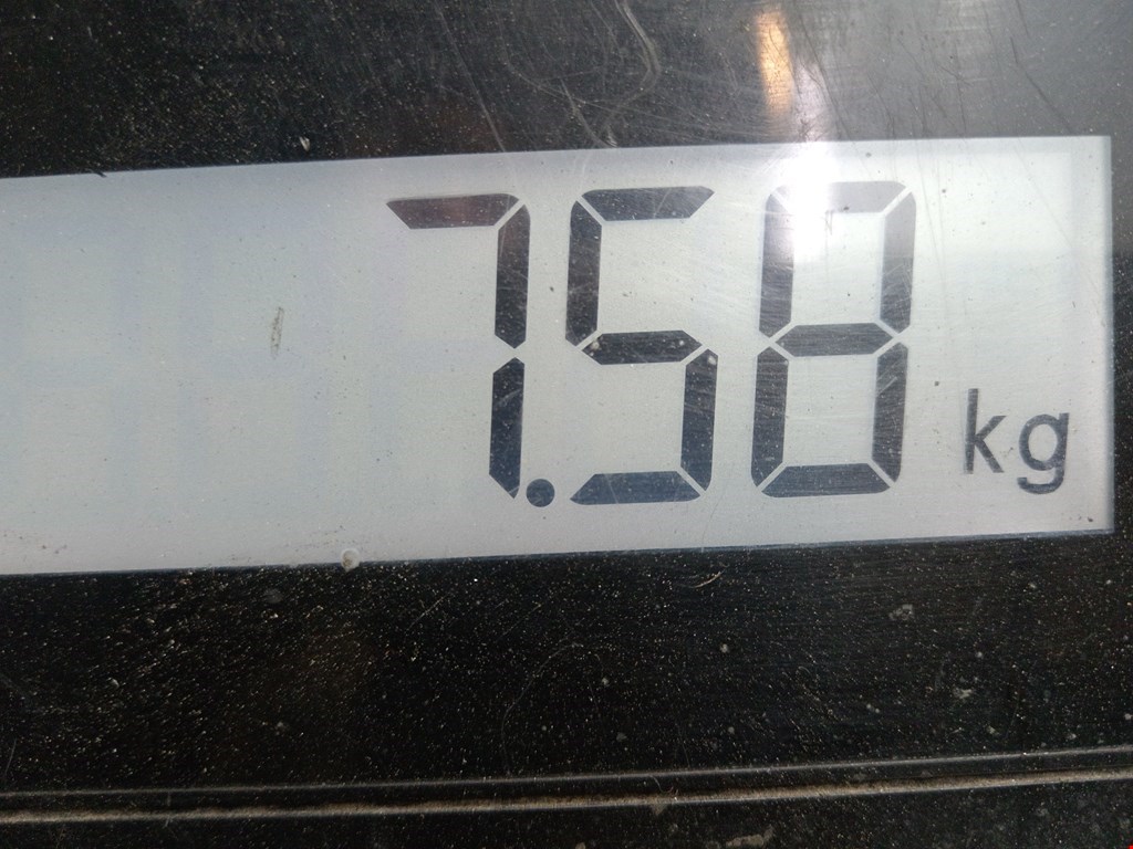 Амортизатор передний правый MAZDA Mazda 3 BK 2003-2009