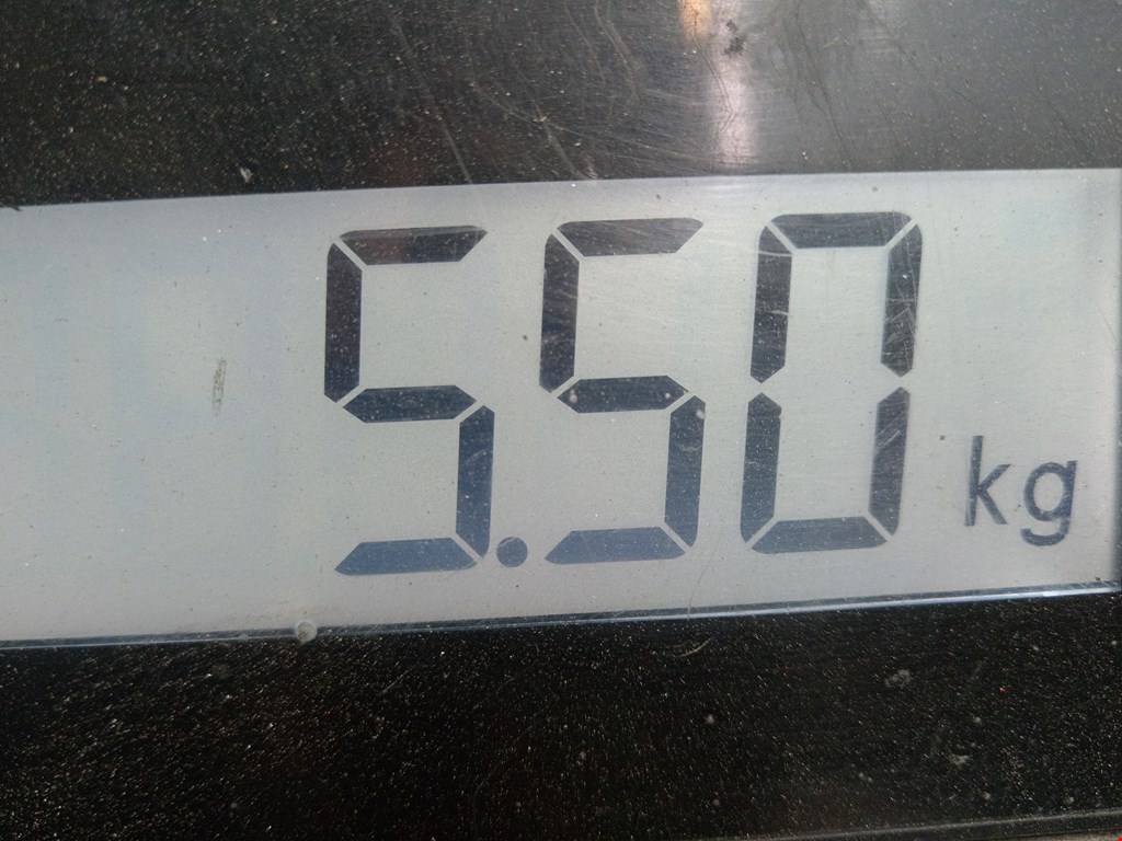 Ступица передняя правая NISSAN Micra K12 2003-2010