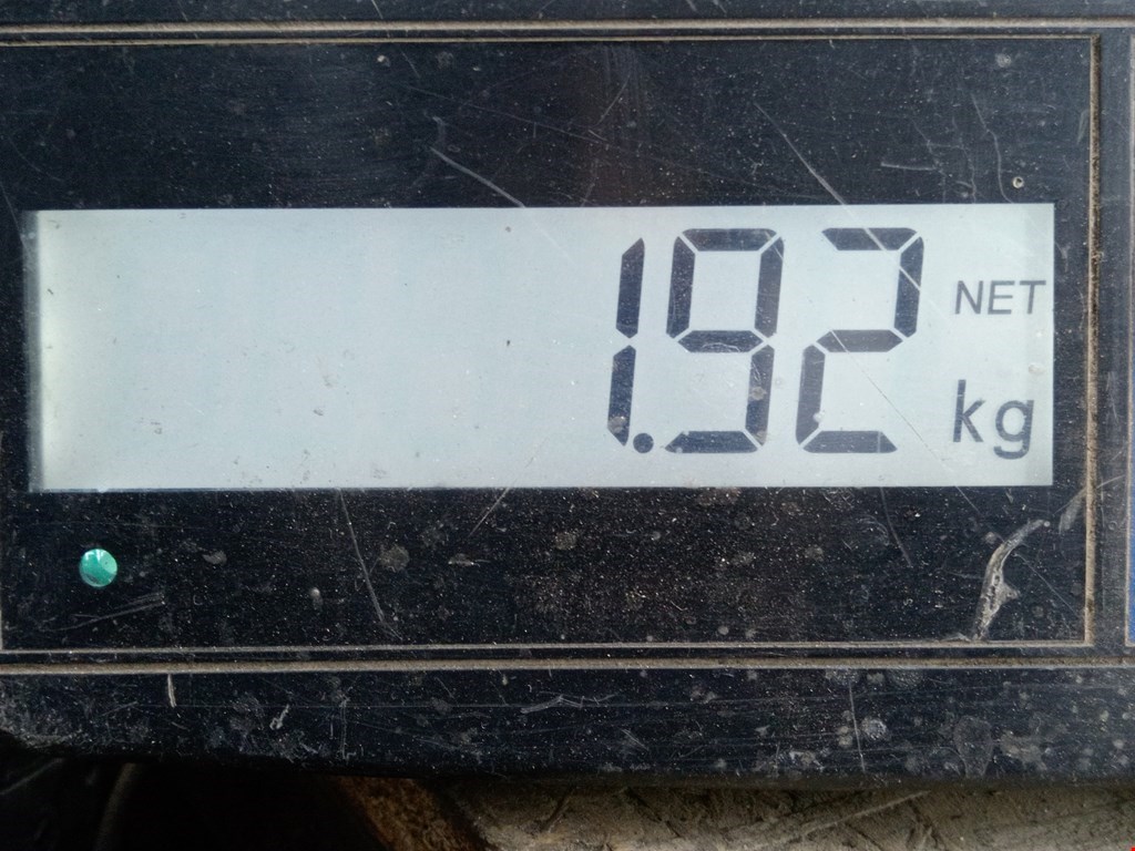 Фара левая VOLKSWAGEN Polo IV 2001-2009