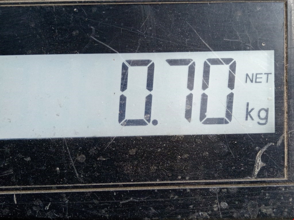 Зеркало левое VOLKSWAGEN Lupo 1999-2005